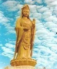小蓝鸟每日大赛鉴定女菩萨,鉴定女菩萨风采，展现非凡魅力