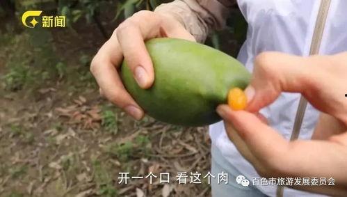 51爆料吃瓜黑料每日大赛聚集地瓜贝视频,51爆料吃瓜黑料每日大赛，揭秘娱乐圈幕后风云