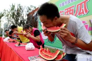 吃瓜在线每日大赛,精彩瞬间回顾，瓜友狂欢盛宴